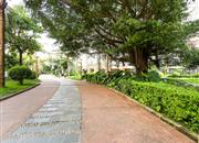 理想新城（理想家园）-环境绿化