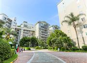 理想新城（理想家园）-环境绿化