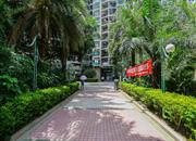 绿洲丰和家园-环境绿化