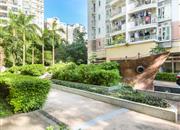 郁金香家园-环境绿化