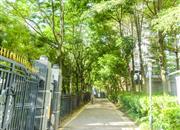 郁金香家园-环境绿化