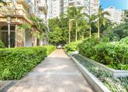 郁金香家园-环境绿化