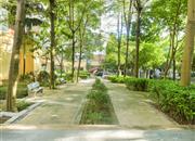 郁金香家园-环境绿化