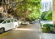 郁金香家园-环境绿化