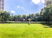 华润城润府一期-环境绿化