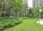 勤诚达22世纪二期-环境绿化