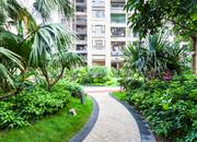 奥宸观壹城(坂田观澜)-环境绿化