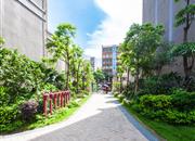 奥宸观壹城(坂田观澜)-环境绿化