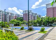 碧湖花园(龙岗)-基础设施