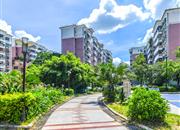 碧湖花园(龙岗)-环境绿化