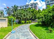 碧湖花园(龙岗)-环境绿化