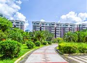 碧湖花园(龙岗)-远景图