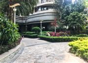 御景东方花园一期-环境绿化