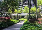 御景东方花园一期-环境绿化