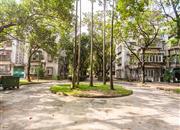 光侨街-环境绿化