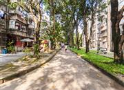 光侨街-环境绿化