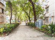 光侨街-环境绿化