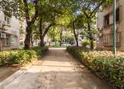 光侨街-环境绿化