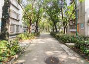 光侨街-环境绿化