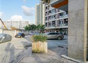 西城品阁-环境绿化