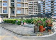 西城品阁-环境绿化