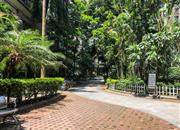 侨城豪苑-环境绿化