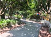 侨城豪苑-环境绿化