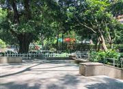 侨城豪苑-环境绿化