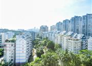 郁金香家园-俯瞰图