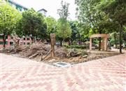 龙翔花园-环境绿化