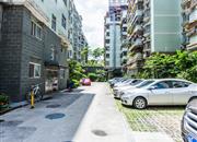 余岭山庄-环境绿化