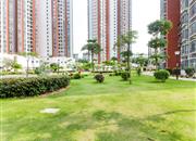 松坪村（三期西区）-环境绿化