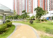 松坪村（三期西区）-环境绿化