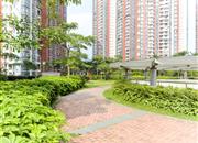 松坪村（三期西区）-环境绿化