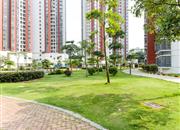 松坪村（三期西区）-环境绿化