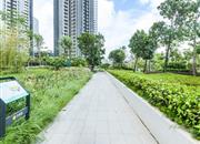 万科云城(六期)-环境绿化