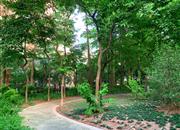 缔馨园-环境绿化