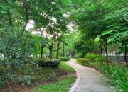 缔馨园-环境绿化