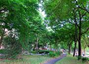 缔馨园-环境绿化