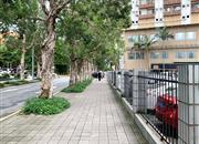 鹏益花园-环境绿化