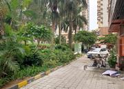 鹏益花园-环境绿化