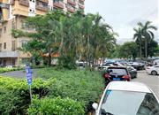 鹏益花园-环境绿化