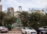 丰润花园-环境绿化