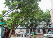 南山天源大厦-环境绿化