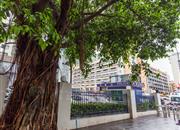 南山天源大厦-环境绿化