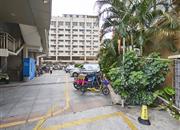 港澳8号-环境绿化