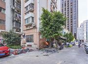 兴隆大厦-环境绿化