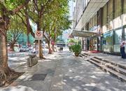 粤海花园-环境绿化