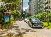 缔梦园（一期）-环境绿化