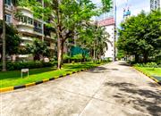 紫荆苑-环境绿化